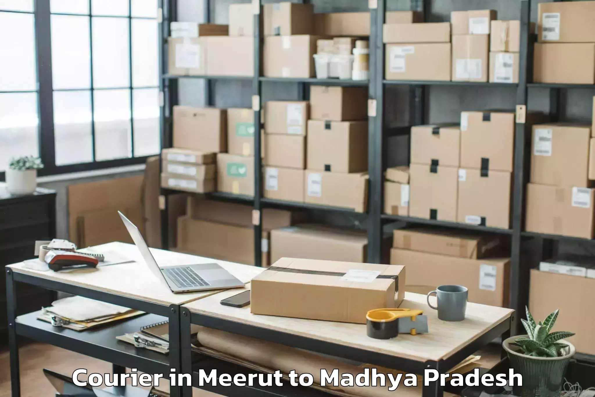 Reliable Meerut to Mauganj Courier